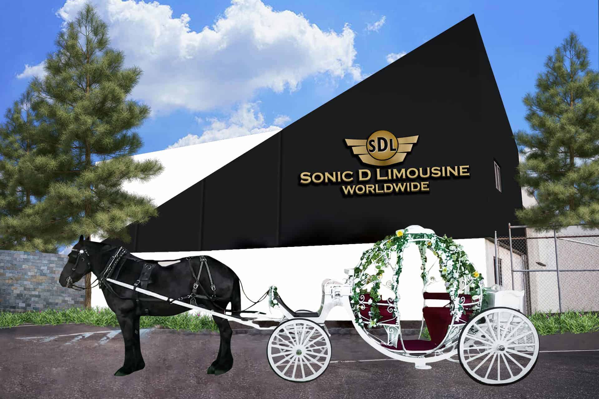Horse and Carriage with BG