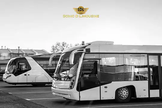 Sonic D Limousine Worldwide Voted Most Reliable Airport Transportation Provider! Black and white image of two tour buses parked in a lot, with one bus in the foreground and another in the background. The Sonic D Limousine logo, known for luxury airport transportation, is visible at the top. Sonic D Limousine Worldwide your luxury Airport Transportation